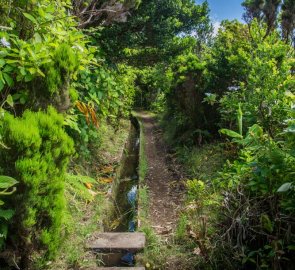 Akvadukt (vodní systém) Levada při sestupu od kaldery na azorském ostrově Faial