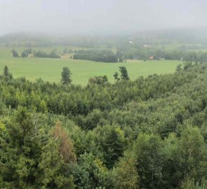 Pohled z rozhledny Na Skalce ve Zlatých horách