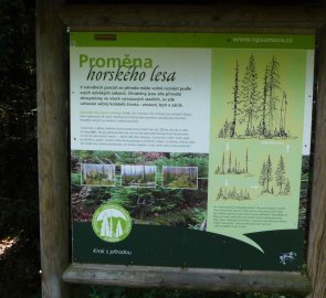 Informační tabule o proměně horského lesa na Šumavě