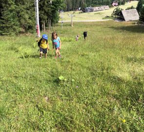 Day 2 - From Bačkarka we climb steeply up the slope to the red marker