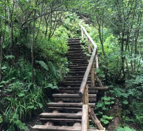 On the way through the valley of the White Opava you will meet many bridges and stairs