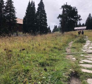 Shortly before the mountain hut Ovčárna