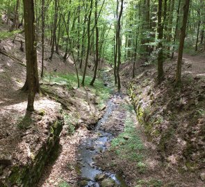 Gorge of the Návesní brook