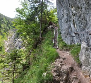 Ladders and belaying on the route