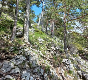 Pod hřebenem Drachenwand