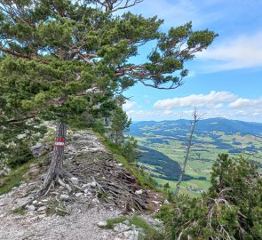 View from Drachenwand