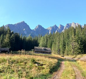 Mödringalm