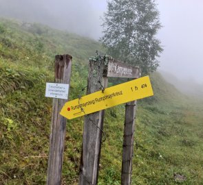 Beginning of the journey - Puglalm in the fog