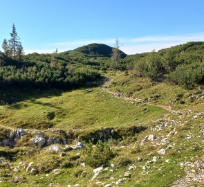 Meadow below the peak of Trisselwand