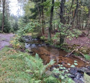 Biela River (Bělá)