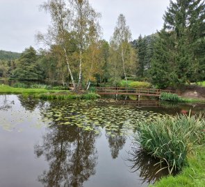 Island ponds