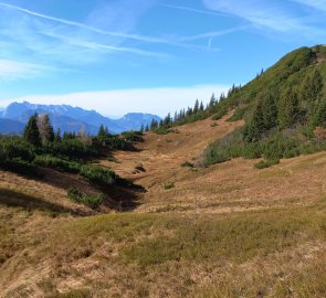 Autumn meadows