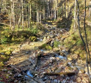 Stream at the beginning of the route