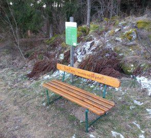 Why not take a break? A bench with a view