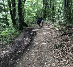 Day 2 - Forest path just in front of the Portáš hut