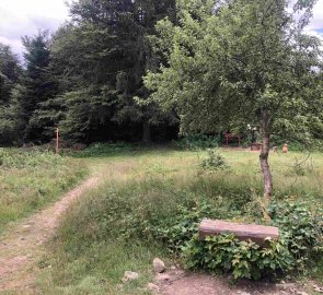 Day 2 - Forest path just in front of the Portáš hut