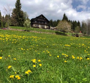 3. den - Modrava > Strážné - Bučina je krásné místo a navíc je zde nejvýše položený horský hotel Alpská vyhlídka v 1 150 m n. m.