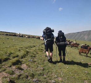 We walk past a flock of sheep, we informed the shepherd about a bear not far from us