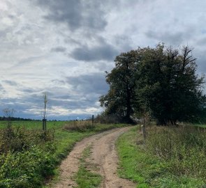 The way back to Obůrka