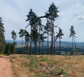 Descent back to the village of Nepomuk