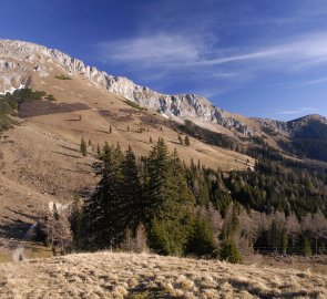 Jižní svahy Veitsch Alpe v Mürzstegerských Alpách