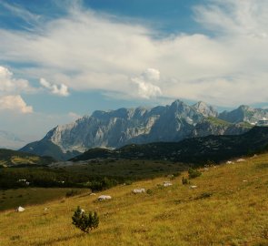 View from the plain on the Bioč Mountains