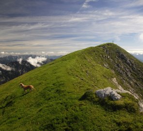 View of Gamsfeld, the highest mountain of the Salzkammergutberge