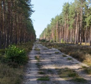 Písečná cesta zpět do Hradčan