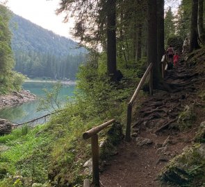 Trail around the lake