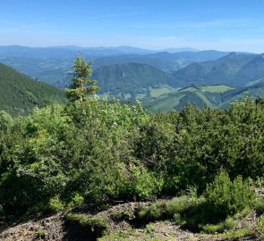 Climb to the main ridge of Malá Fatra