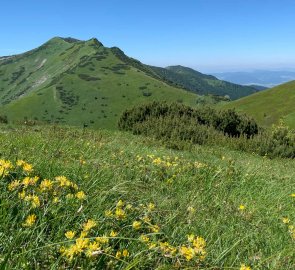 View of Malý Kriváň from the Bublen saddle