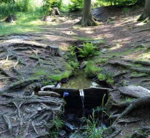 Dašovská studánka při cestě zpět