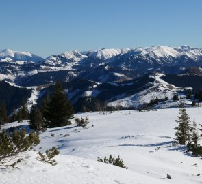 Schneeberg, Windberg, Raxy