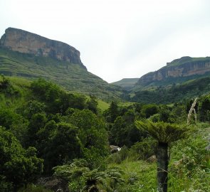 Údolí Royal Natal National Park - Dračí hory