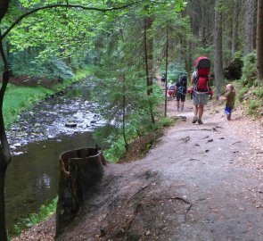 Pohodlná cesta kolem říčky Chřibská Kamenice v Pavlíniném údolí