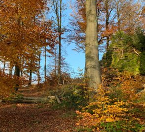 Autumn forest under Peperek hill