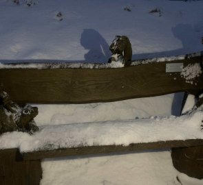 Interesting woodcarving on a bench near Pernink