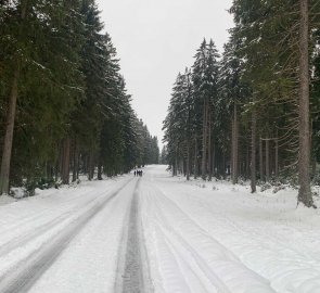 Journey on a snowy road