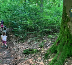 We connected to the yellow hiking trail