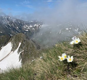 Beauty of the mountains