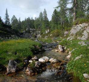 Potok Goldbach v Totes Gebirge