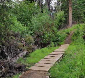 Here and there there are wooden bridges along the way.