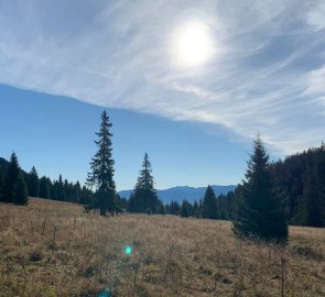 První výhledy na Nízké Tatry