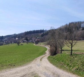Cesta do obce Kobylnice