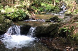 Hike through the valley of the White Opava from Karlova studánka and back