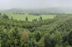 A trip with children in Holčovice to the Na Stezce lookout tower