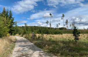 Výlet na rozhlednu Podvrší a hrad Blansek