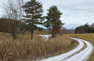 A circular hike to the Nebelstein lookout in the Novohradské hory Mountains